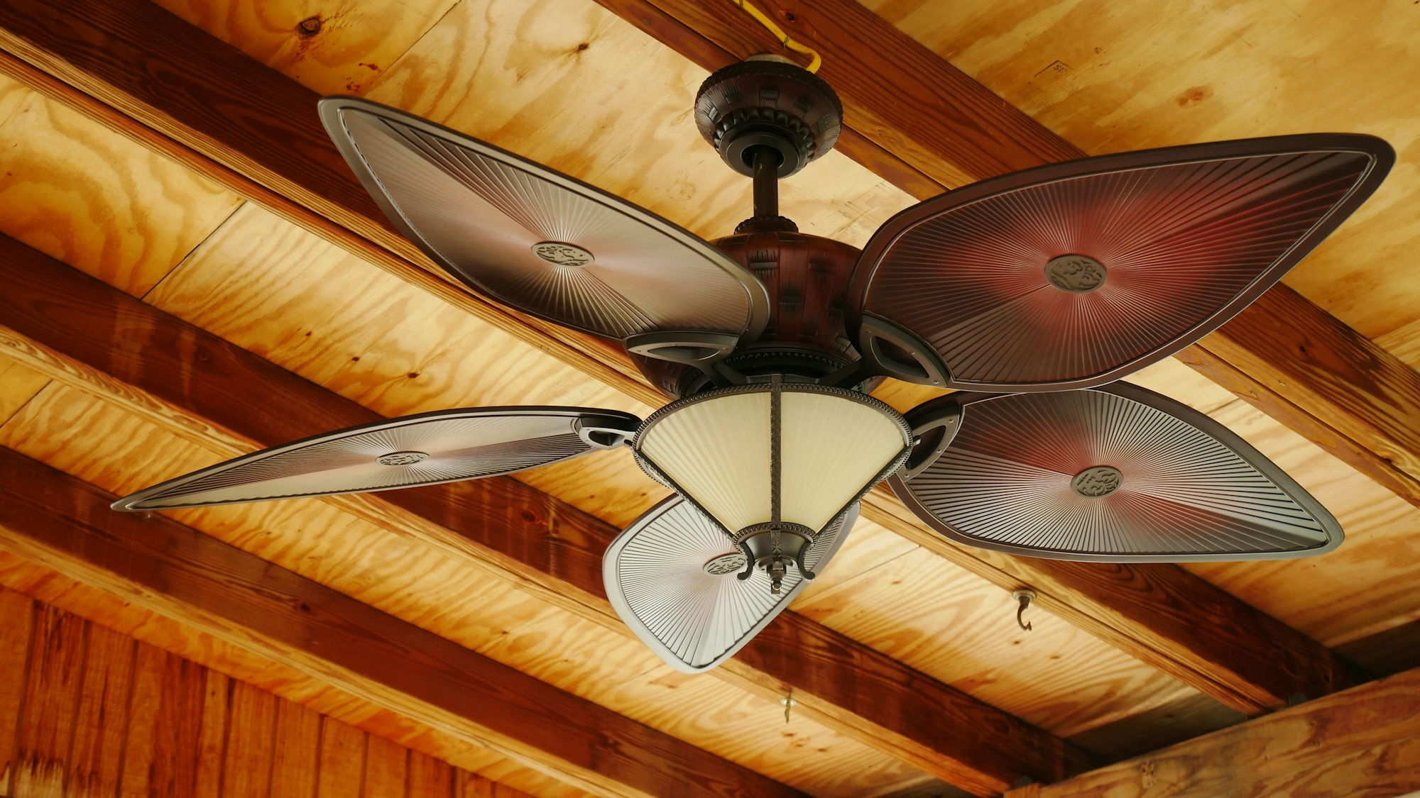 Ceiling fan installation by InnovaBuild 360